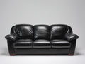 Divano lineare - Pelle-Legno - 220 x 100 x 90 cm - Nero - Moderno