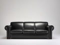 Divano lineare - Pelle-Legno - 216 x 97 x 86 cm - Nero - Classico moderno